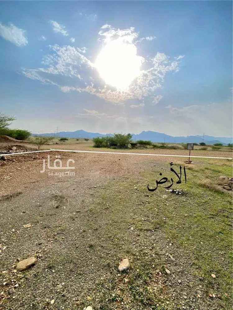 أرض للبيع في حي لصوب, مدينة لصوب, منطقة عسير صورة 4