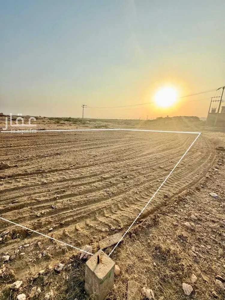 أرض للبيع في حي لصوب, مدينة لصوب, منطقة عسير صورة 3