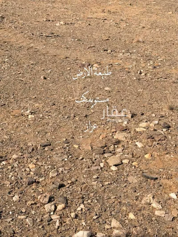 أرض للبيع في حي لصوب, مدينة لصوب, منطقة عسير صورة 4
