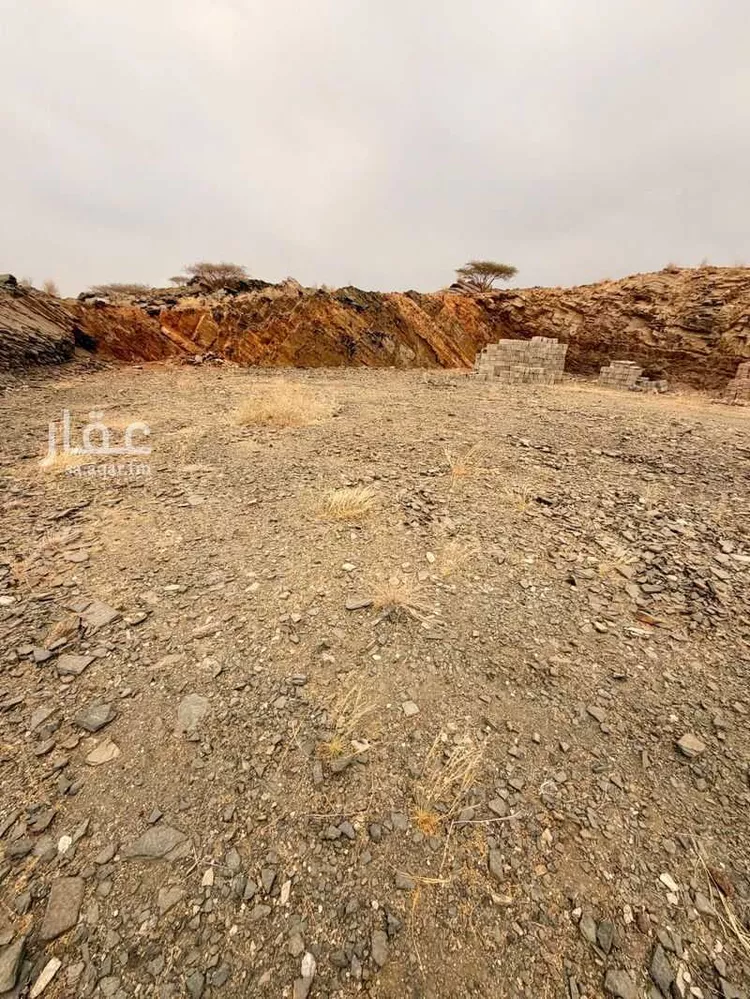 أرض للبيع في حي لصوب, مدينة لصوب, منطقة عسير صورة 2