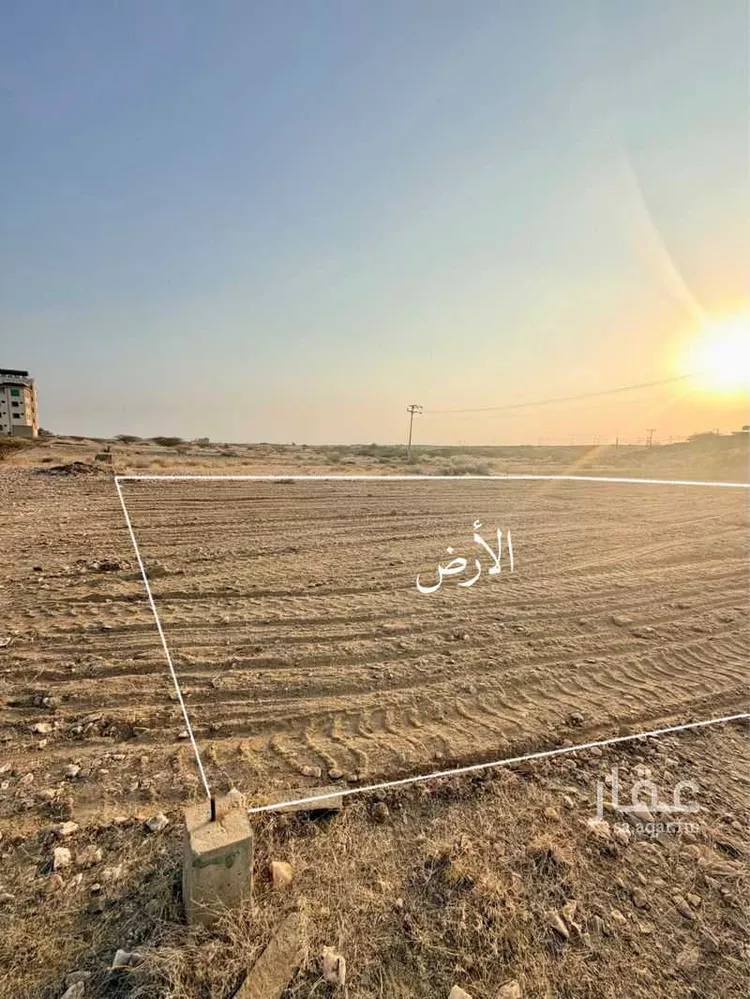 أرض للبيع في حي لصوب, مدينة لصوب, منطقة عسير