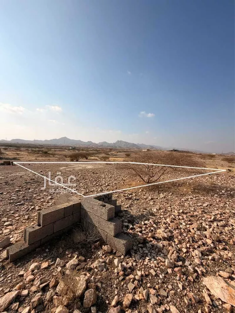 أرض للبيع في حي لصوب, مدينة لصوب, منطقة عسير صورة 3