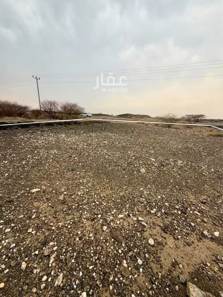 أرض للبيع في حي لصوب, مدينة لصوب, منطقة عسير