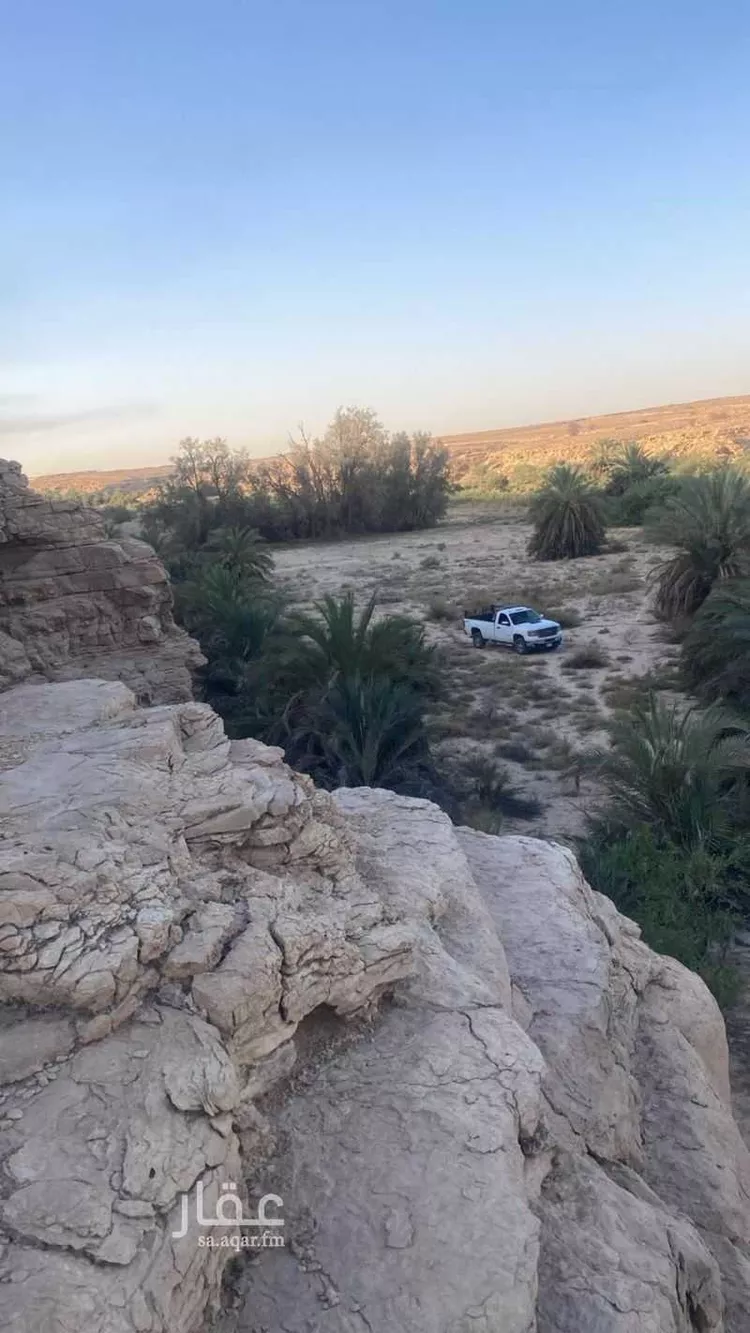 مزرعة للبيع في شارع ثابت بن زيد ، حي الحائر ، الرياض ، منطقة الرياض