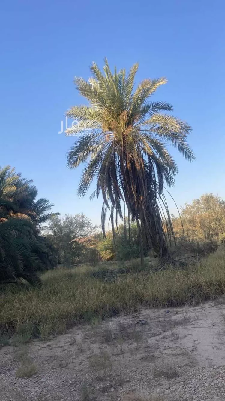 مزرعة للبيع في شارع 26069282, حي الحائر, مدينة الرياض, منطقة الرياض 13