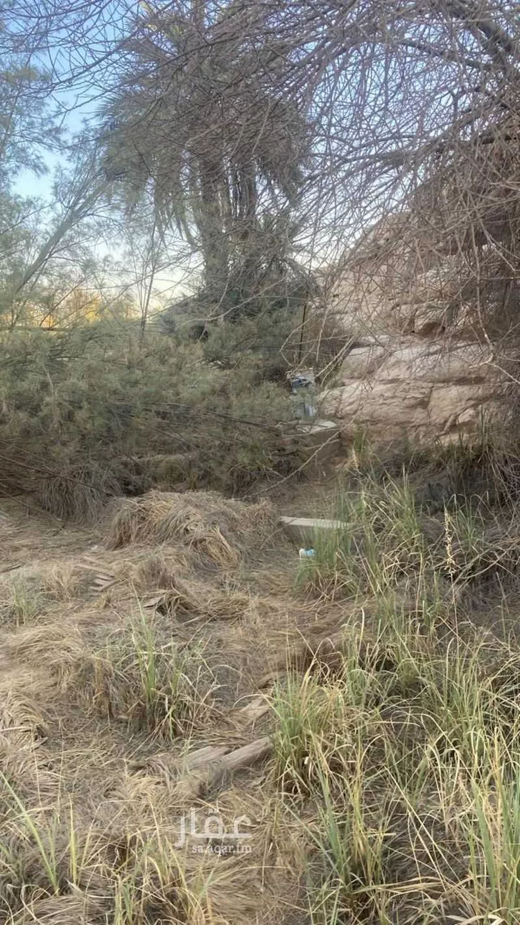مزرعة للبيع في شارع 26069282, حي الحائر, مدينة الرياض, منطقة الرياض 12