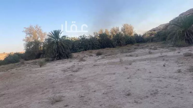 مزرعة للبيع في شارع 26069282, حي الحائر, مدينة الرياض, منطقة الرياض 9