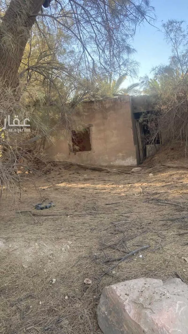 مزرعة للبيع في شارع 26069282, حي الحائر, مدينة الرياض, منطقة الرياض 16
