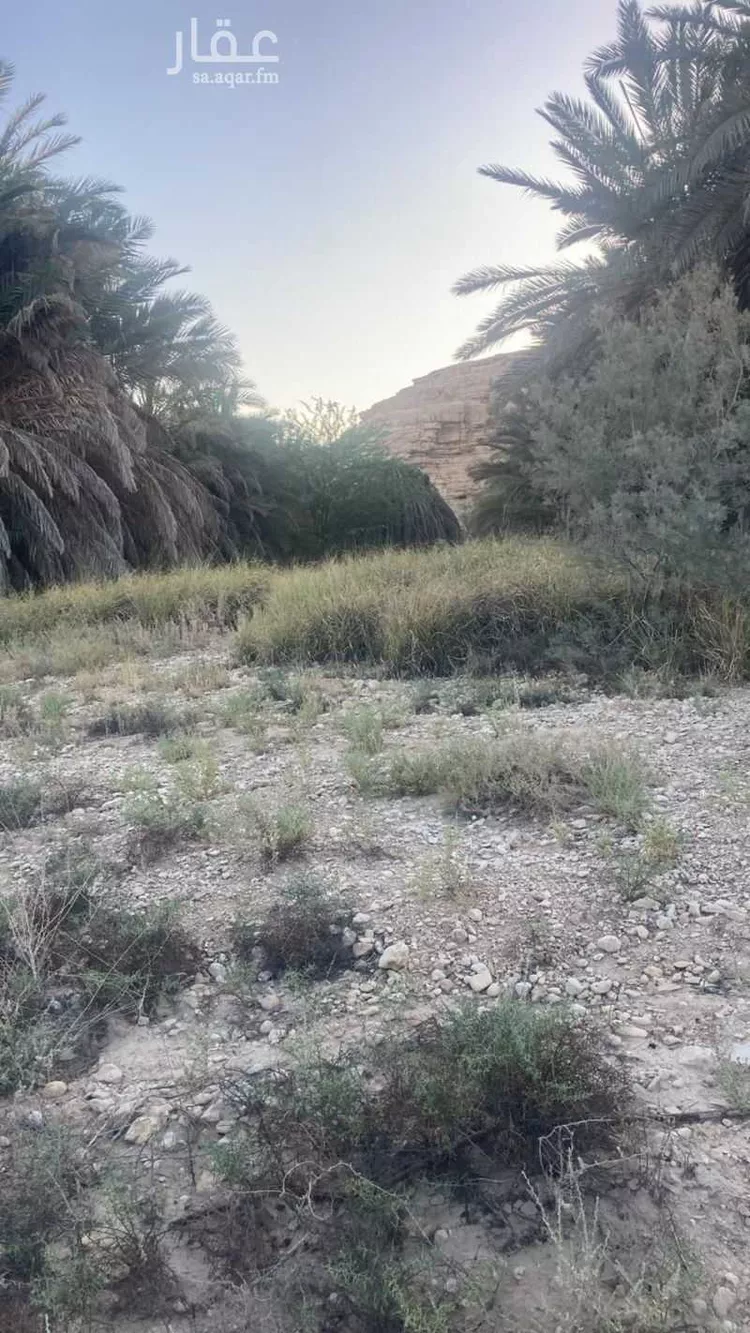 مزرعة للبيع في شارع 26069282, حي الحائر, مدينة الرياض, منطقة الرياض 8