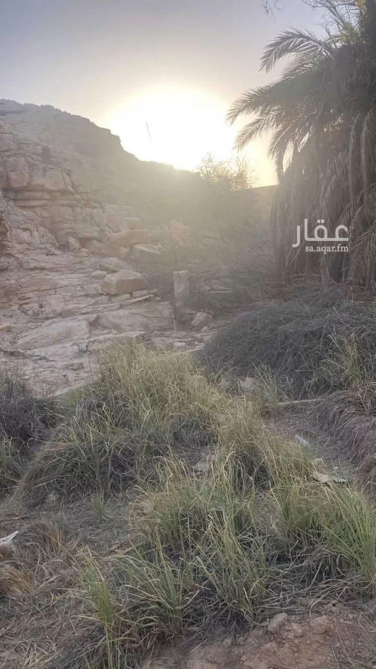 مزرعة للبيع في شارع 26069282, حي الحائر, مدينة الرياض, منطقة الرياض 11