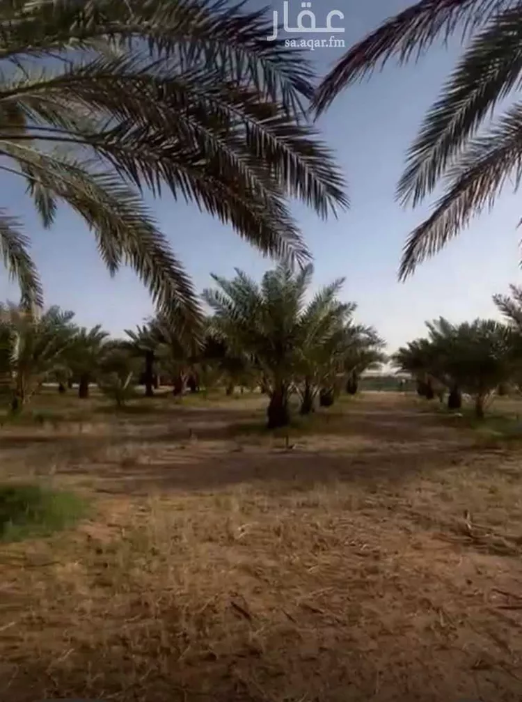 أرض للبيع في حي مزارع عبد العزيز بن احمد, مدينة مزارع عبد العزيز بن احمد, منطقة الرياض