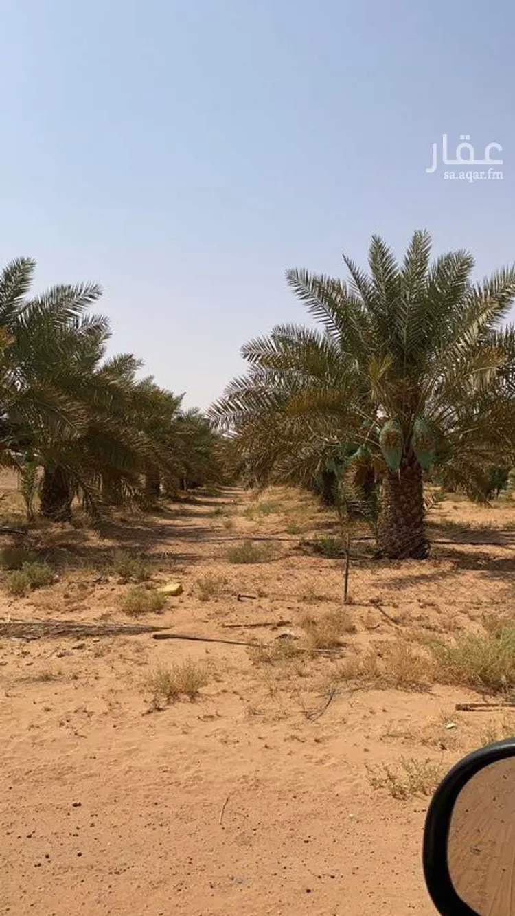مزرعة للبيع في حي الحمضه, مدينة الحمضه, منطقة الرياض صورة 3