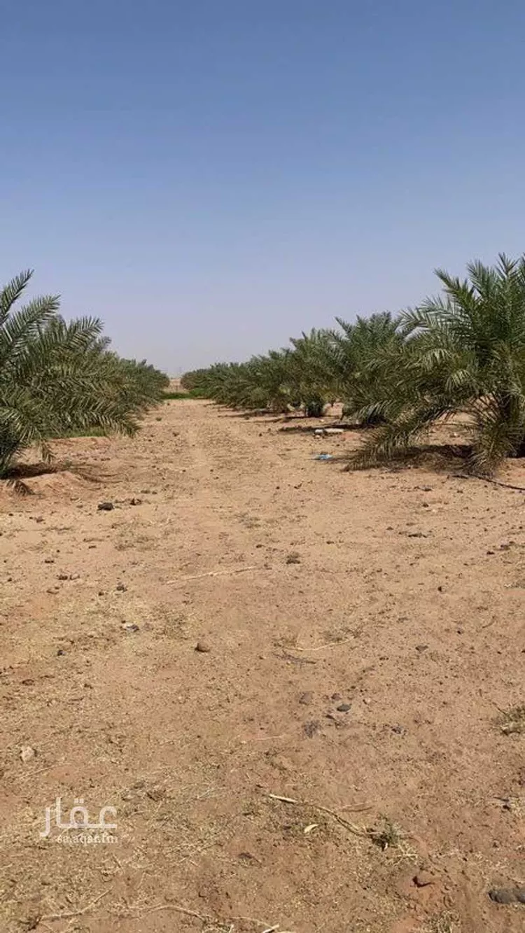 مزرعة للبيع في حي الحمضه, مدينة الحمضه, منطقة الرياض صورة 2