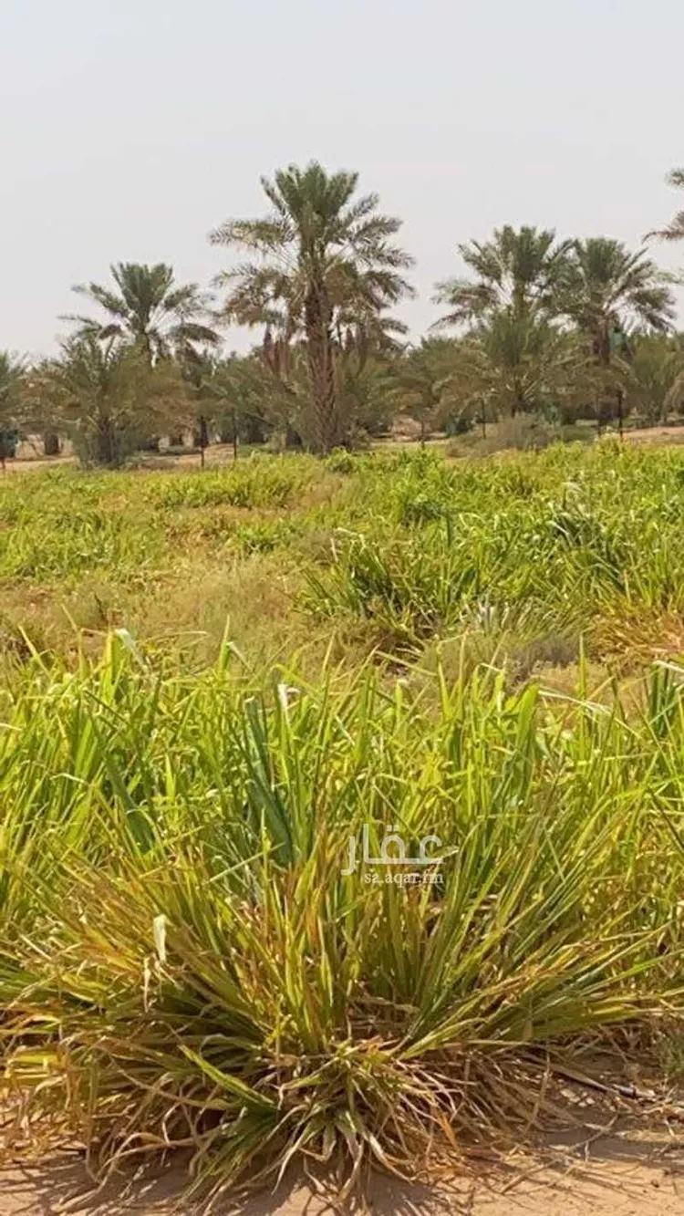 مزرعة للبيع في حي الحمضه, مدينة الحمضه, منطقة الرياض صورة 4