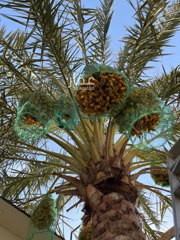استراحة للبيع في شارع ابي بن ثابت الانصاري, مدينة الرياض, منطقة الرياض صورة 4