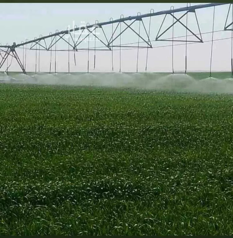 أرض للبيع في شارع سرحان, حي مزرعه ابن سرحان, مدينة مزرعه ابن سرحان, المنطقة الشرقية