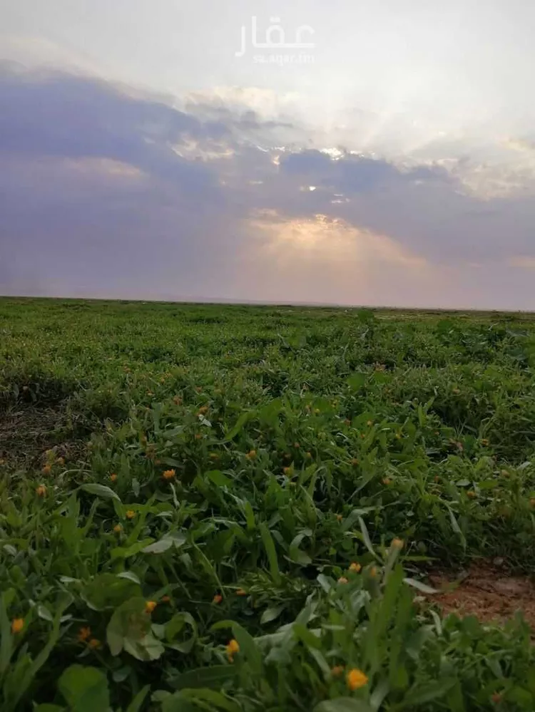 أرض للبيع في شارع محمد بن الهيثم بن شبابه, حي الصفاء, مدينة الرياض, منطقة الرياض صورة 2