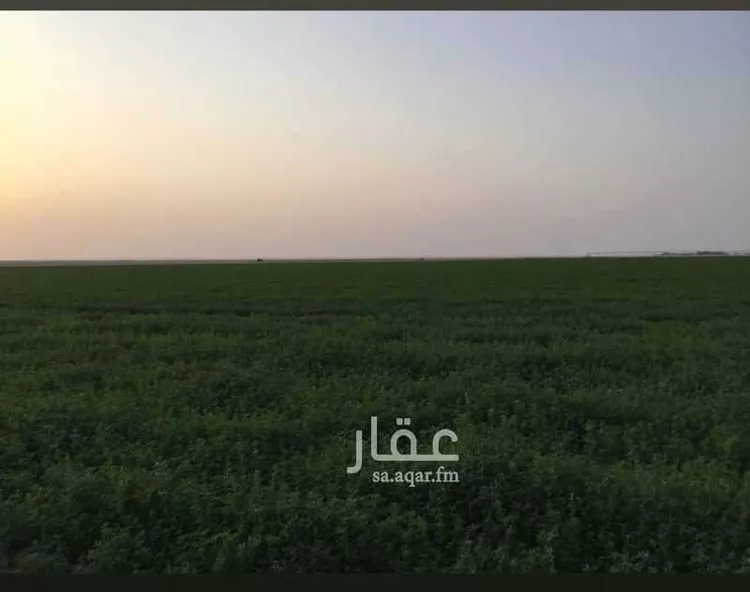 أرض للبيع في شارع سرحان, حي مزرعه ابن سرحان, مدينة مزرعه ابن سرحان, المنطقة الشرقية صورة 2