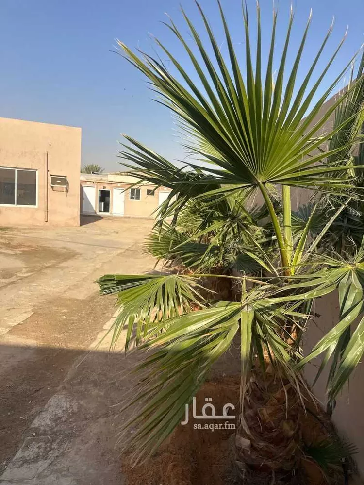 استراحة للإيجار في شارع 0000, حي وسيلة, مدينة المزاحمية, منطقة الرياض صورة 2