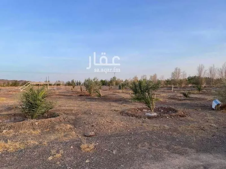 مزرعة للبيع في غراب ، منطقة المدينة المنورة صورة 3