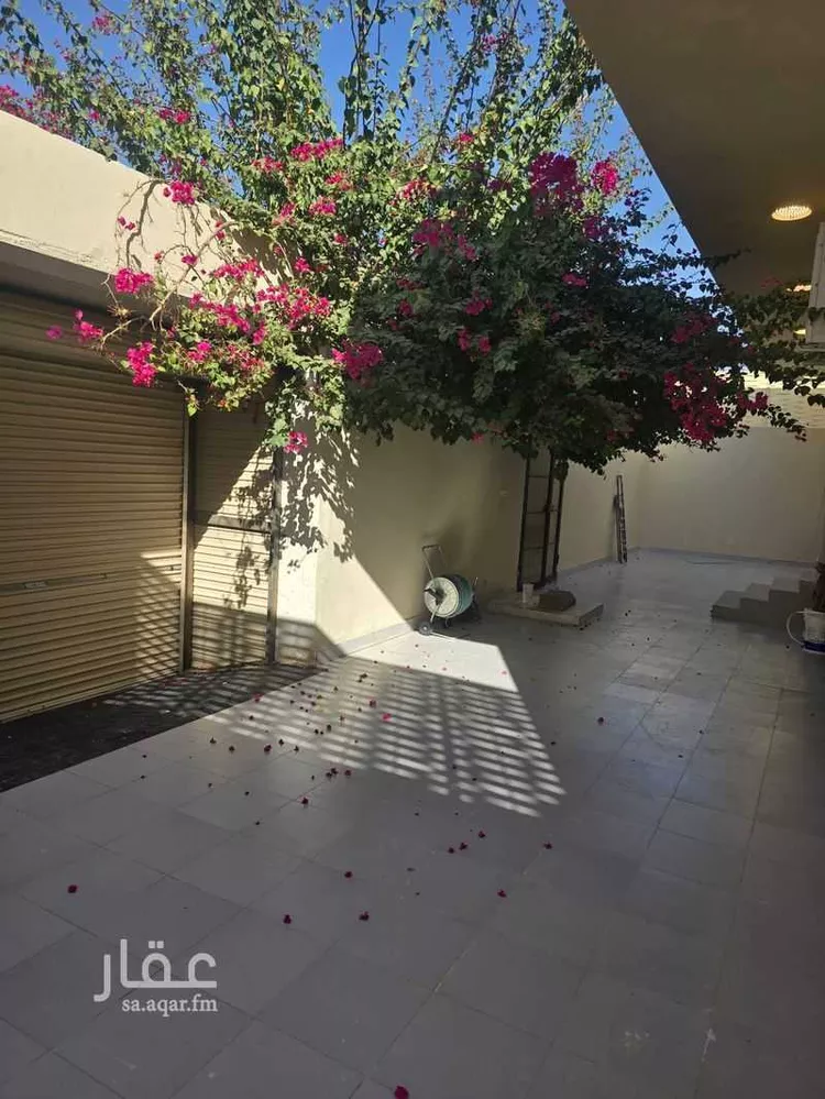 دور للإيجار في شارع أبو علي محمد بن هارون ، حي الصفا ، تبوك ، منطقة تبوك صورة 4