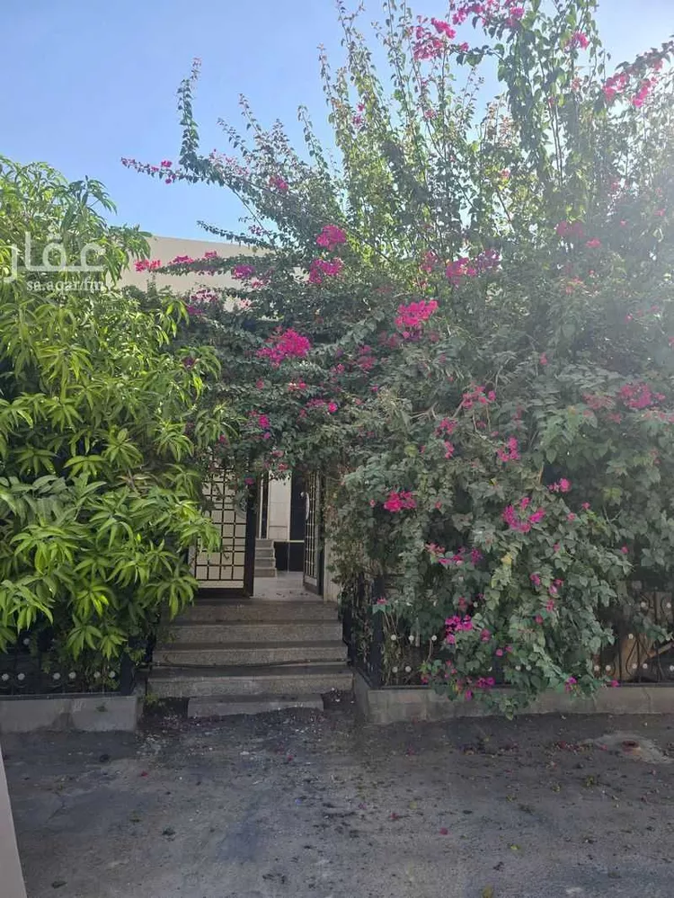 دور للإيجار في شارع أبو علي محمد بن هارون ، حي الصفا ، تبوك ، منطقة تبوك