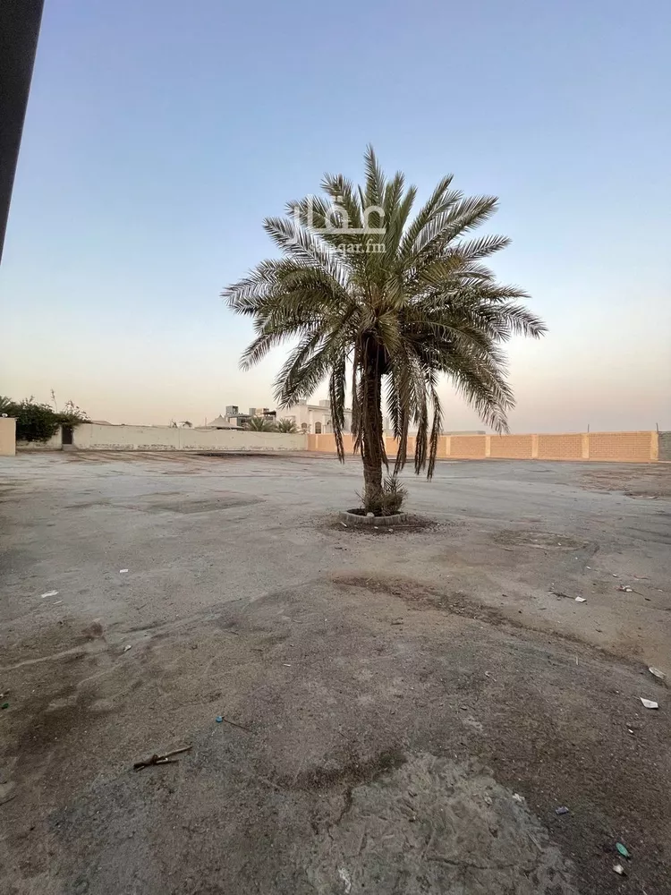 مستودع للإيجار في شارع طارق بن شهاب, حي العارض, مدينة الرياض, منطقة الرياض صورة 2