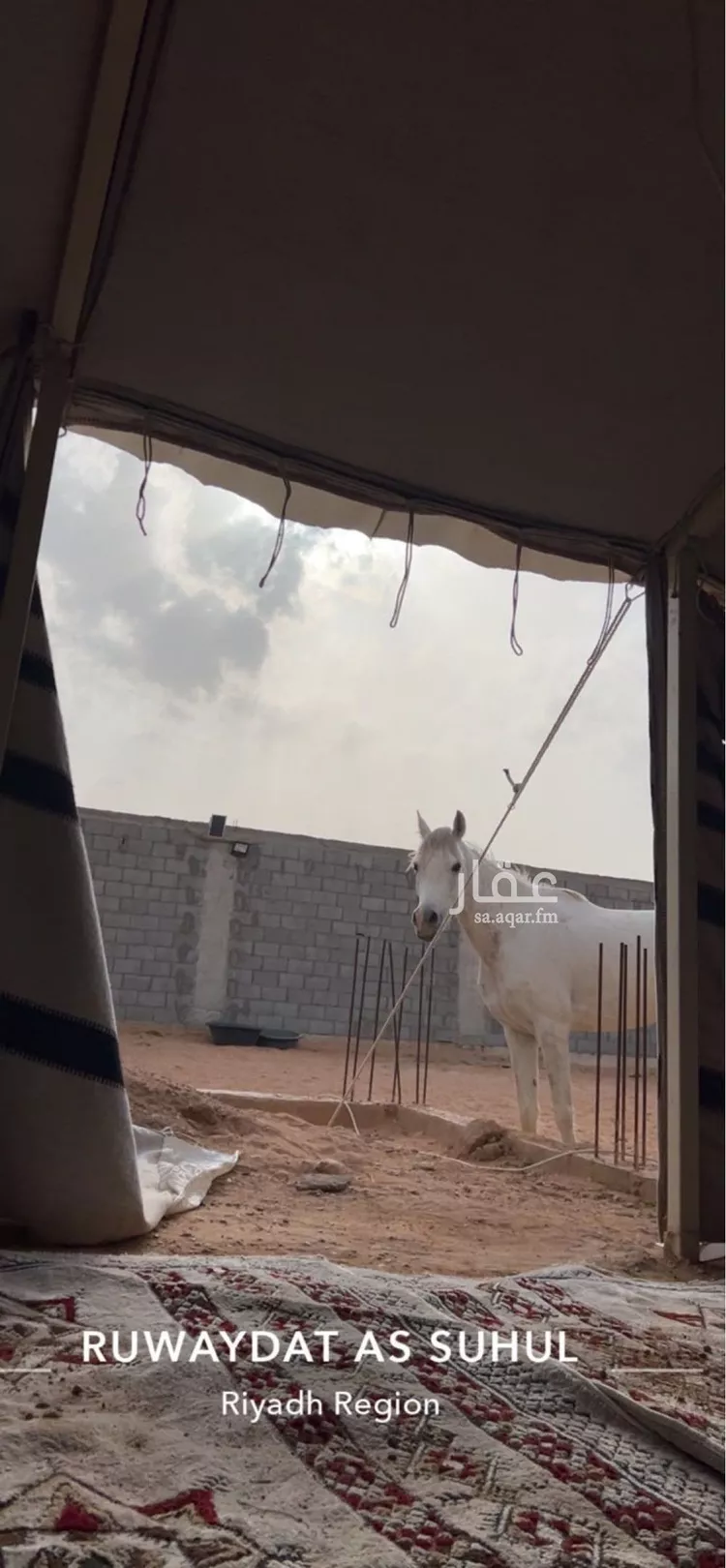 استراحة للبيع في شارع العام, حي مخطط رقم 133 , مدينة ثادق, منطقة الرياض صورة 3