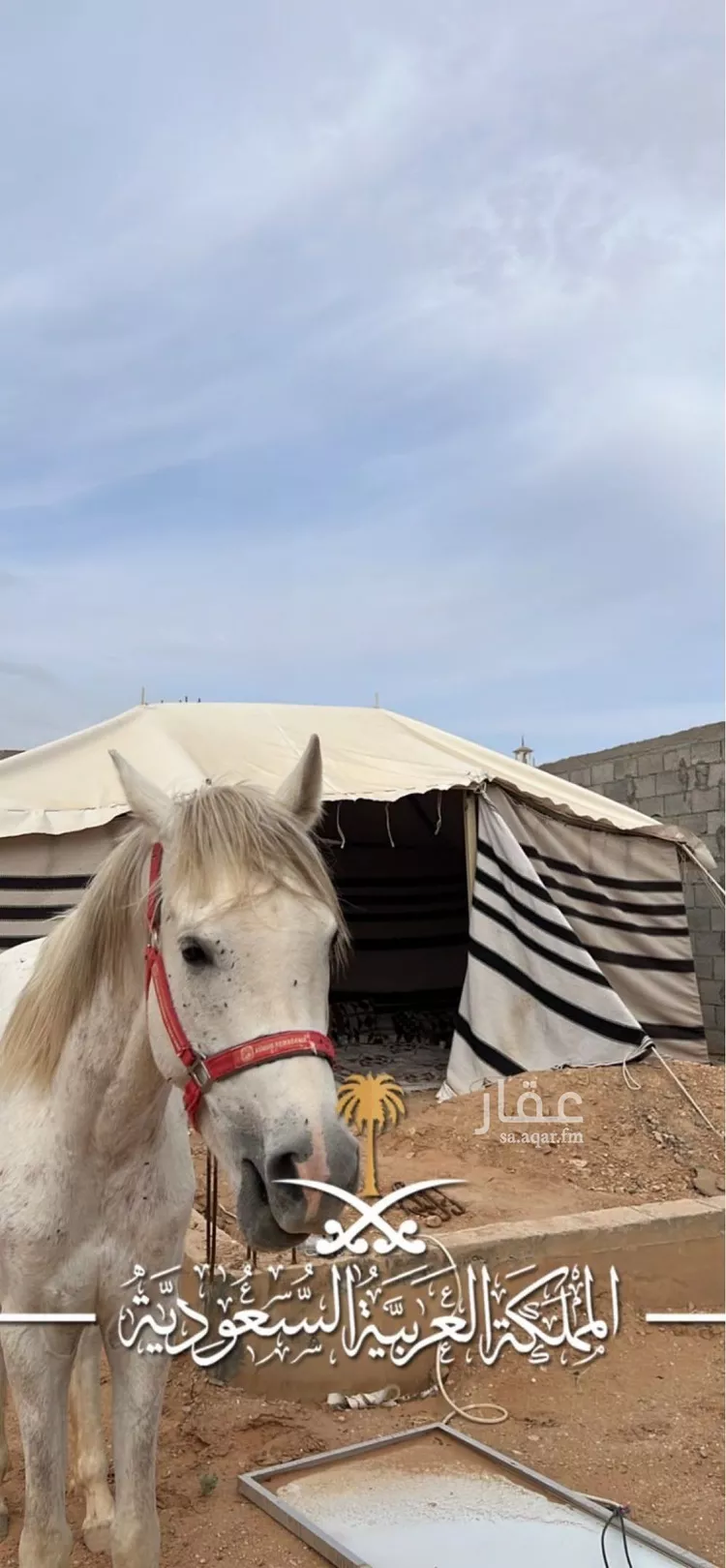 استراحة للبيع في شارع العام, حي مخطط رقم 133 , مدينة ثادق, منطقة الرياض
