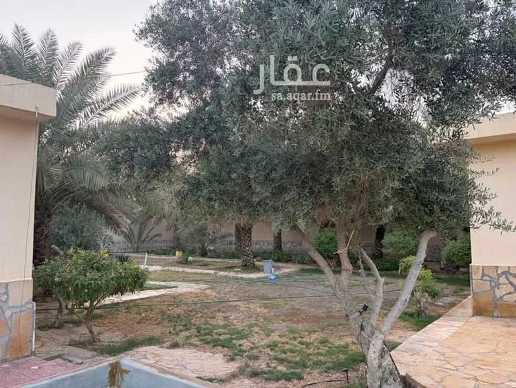 Rest House for Sale in Riyadh Uhud صورة 4