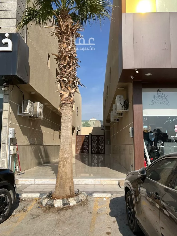 شقة للإيجار في شارع الامير ناصر بن سعود بن فرحان ال سعود, حي الياسمين, مدينة الرياض, منطقة الرياض