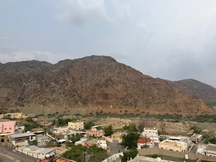 Land for Sale in Abha As Sarawat 8