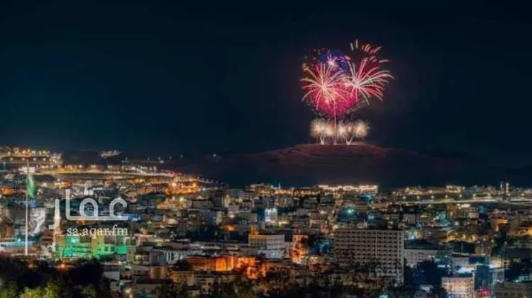 فندق للإيجار في شارع الملك فيصل الدولي, حي الربيع, مدينة بلسمر, منطقة عسير صورة 5