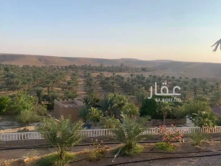مزرعة للبيع في حي الساحبه ومزارعها, مدينة الساحبه ومزارعها, منطقة الرياض صورة 2