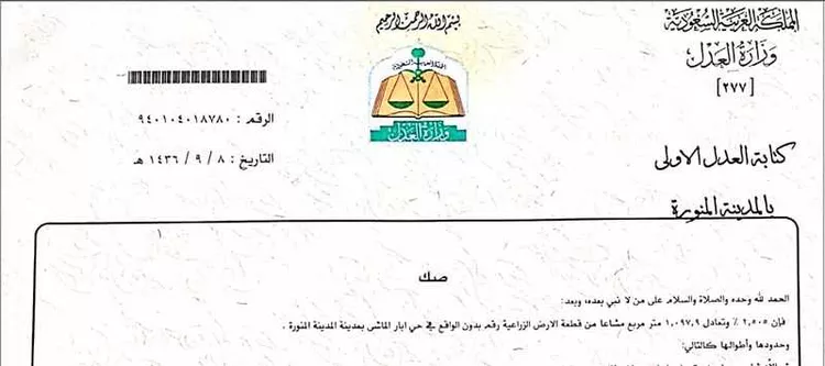 أرض للبيع في شارع ابار الماشي 878 ، المدينة المنورة ، منطقة المدينة المنورة صورة 3