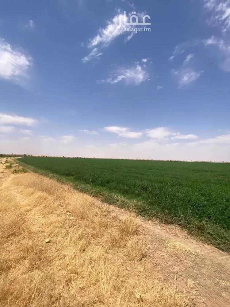 مزرعة للبيع في شارع الامير بدر بن عبدالعزيز, حي التوباد, مدينة الأفلاج, منطقة الرياض 6
