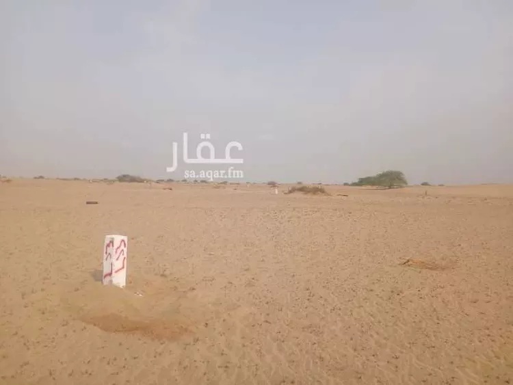 أرض للبيع في حي الوداد, مدينة جدة, منطقة مكة المكرمة صورة 2