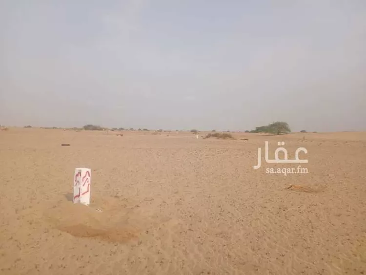 أرض للبيع في حي الوداد, مدينة جدة, منطقة مكة المكرمة صورة 2