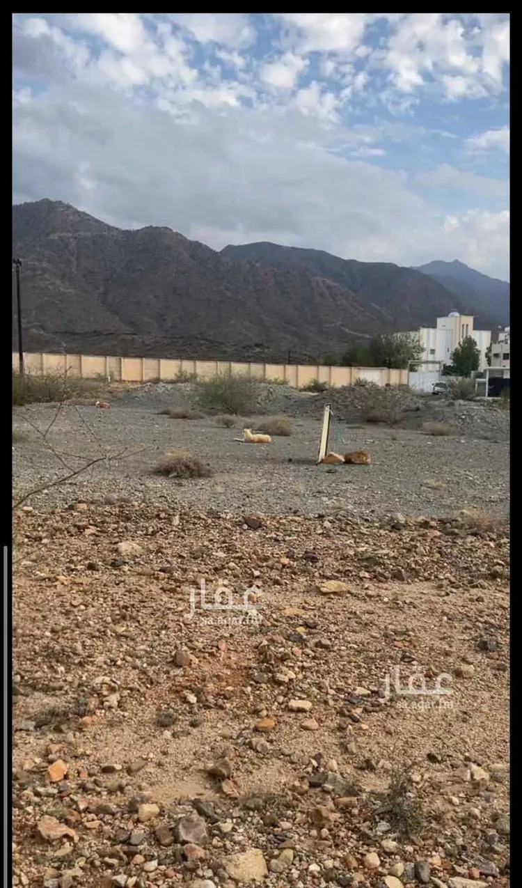 أرض للبيع في شارع ابي الربيع الهواري ، الشعبة ، المجاردة صورة 2