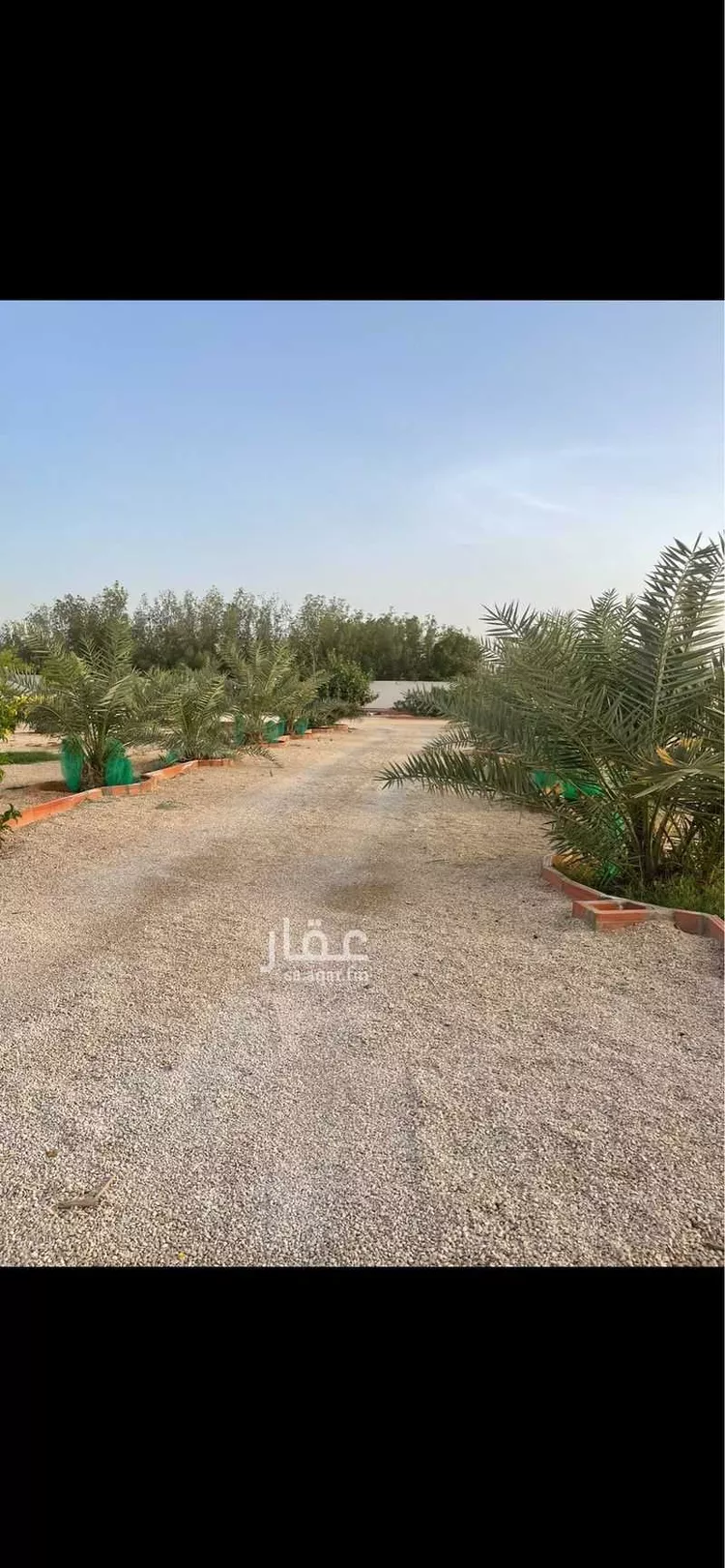 مزرعة للبيع في شارع ال حفيان 1152 ، خشم معضد ، المزاحمية