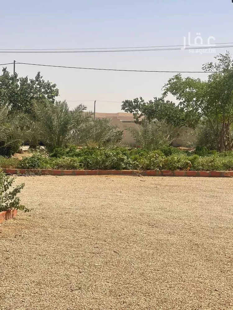 مزرعة للبيع في شارع ال حفيان 1152 ، خشم معضد ، المزاحمية صورة 5
