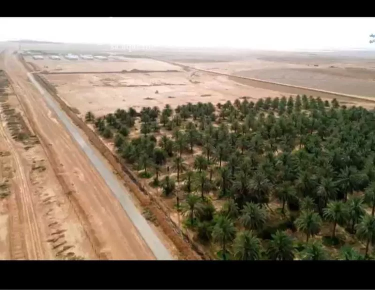 مزرعة للبيع في شارع الفروثي, مدينة الفروثى, منطقة الرياض صورة 2