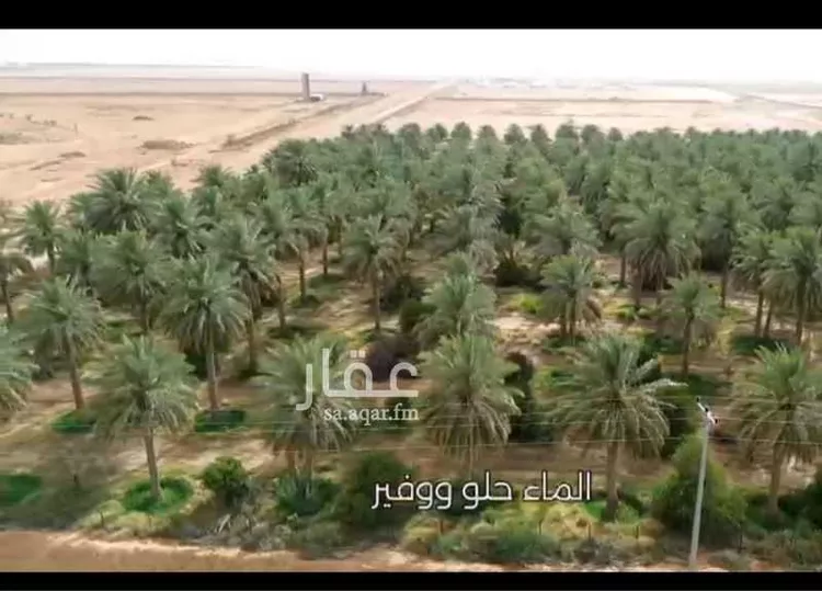 مزرعة للبيع في شارع الفروثي, مدينة الفروثى, منطقة الرياض
