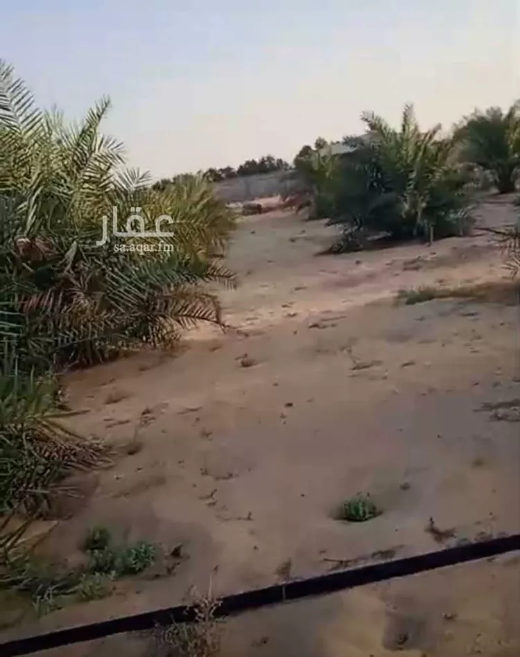 Land for Rent in Buqayq Ar Rabwah