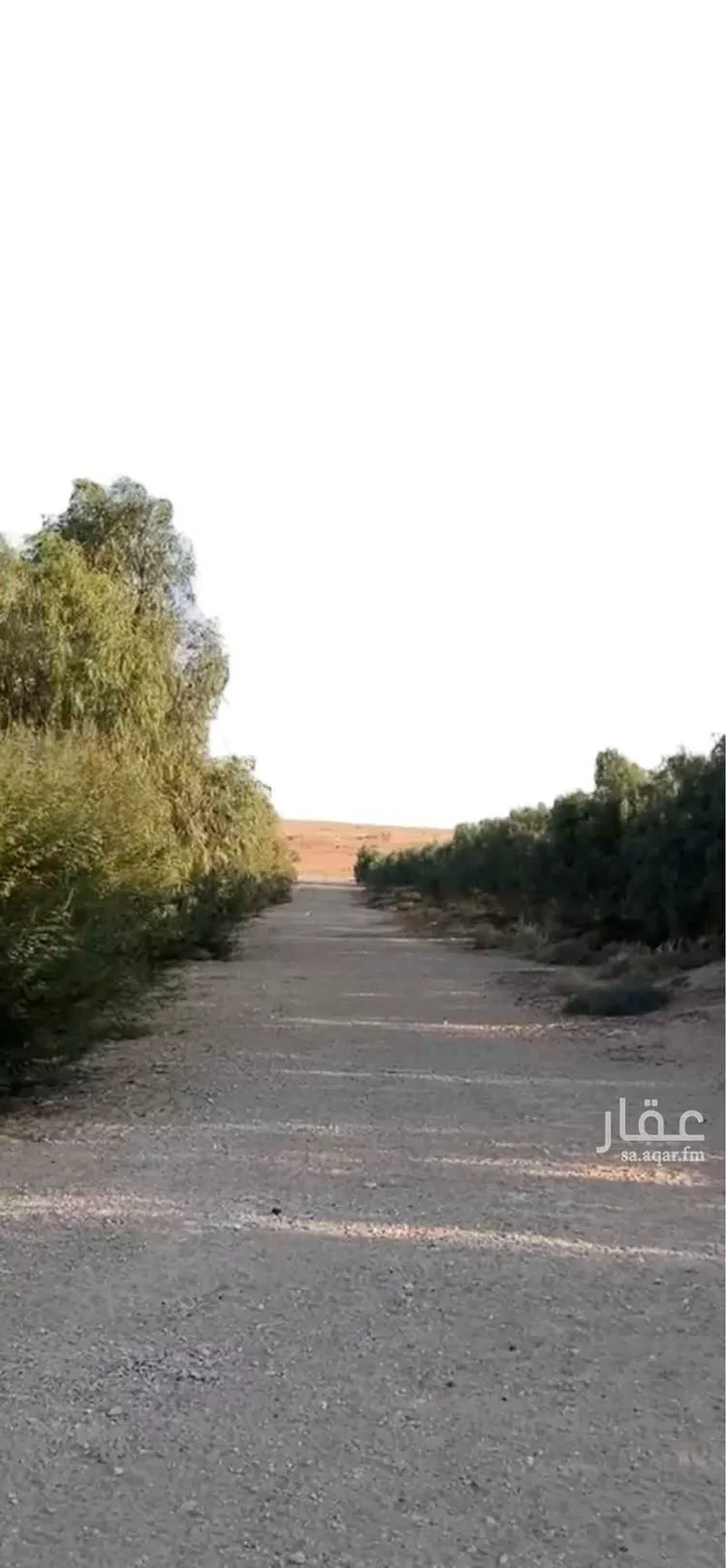 مزرعة للبيع في شارع صلاصل , حي الرافعيه, مدينة الرافعيه, المنطقة الشرقية صورة 2