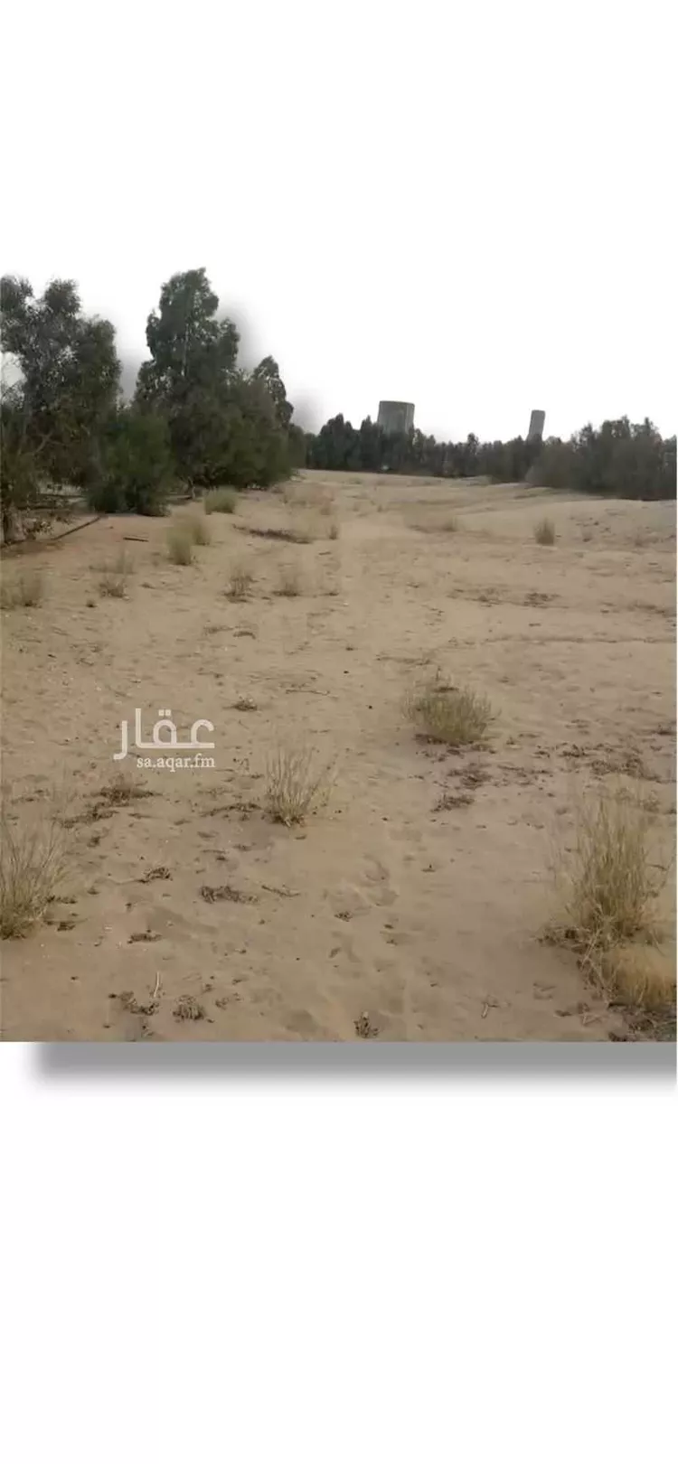 مزرعة للبيع في المملكة العربية السعودية صورة 3