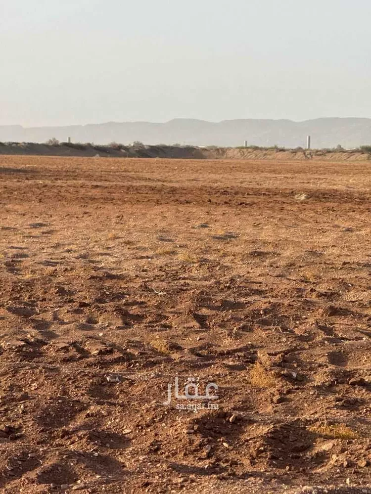 مزرعة للبيع في شارع بدون, مدينة الحميمه, منطقة مكة المكرمة
