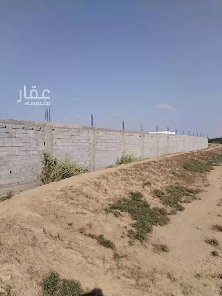 مزرعة للبيع في حي ام القضب, مدينة صبيا - ام القضب, منطقة جازان