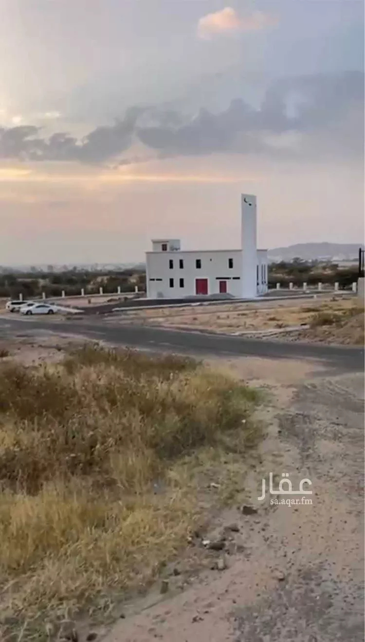 أرض للبيع في شارع زكريا ابن اسحاق ، الواديين ، احد رفيدة صورة 2