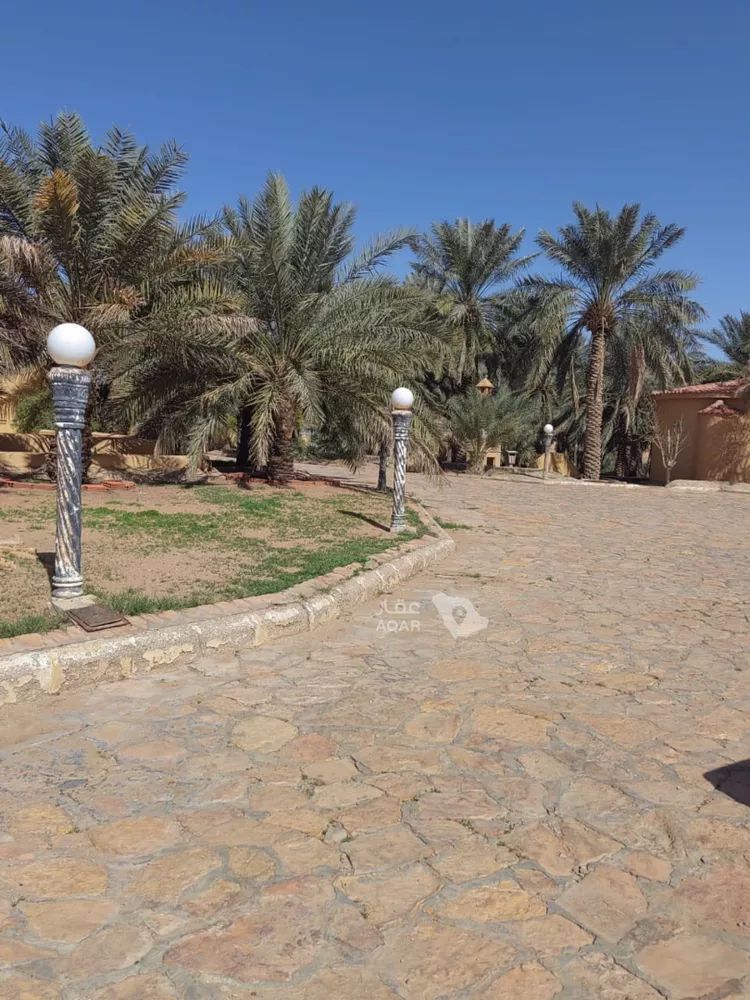 مزرعة للبيع في شارع المنفلوطي, حي الضاحي الشرقي, مدينة بريدة, منطقة القصيم 9